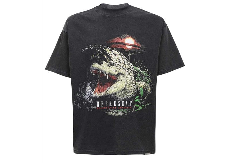 Represent Destructive Appetite T-Shirt Vintage Grey